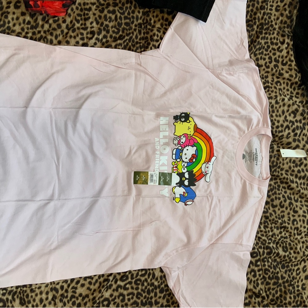Hello Kitty Pink Tee with Rainbow Character Graphic